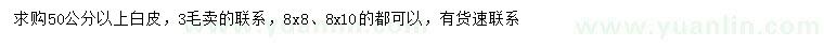 求購50公分以上白皮松