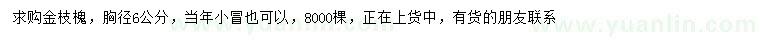 求購胸徑6公分金枝槐