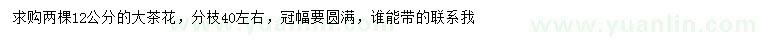 求購(gòu)12公分茶花