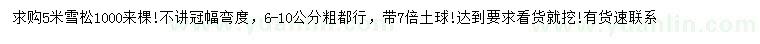 求購5米雪松