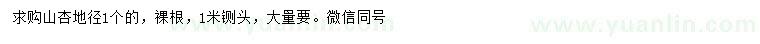 求購地徑1公分山杏