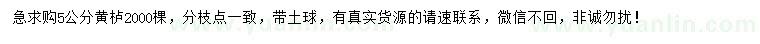 求購5公分黃櫨