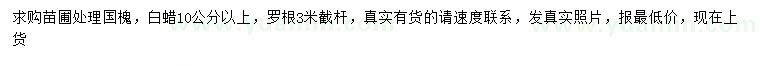 求購10公分以上國槐、白蠟