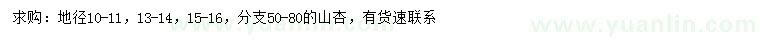 求購地徑10-11、13-14、15-16公分山杏