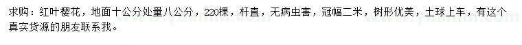 求購10量8公分紅葉櫻花