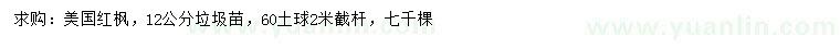 求購12公分美國紅楓