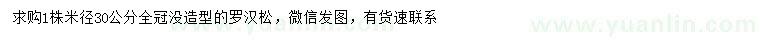 求購米徑30公分羅漢松