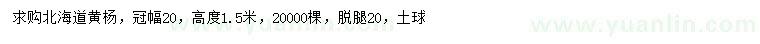 求購高1.5米北海道黃楊