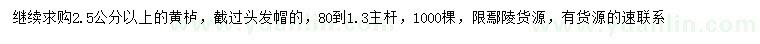 求購2.5公分以上黃櫨