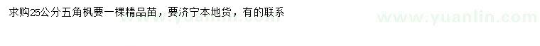 求購25公分五角楓