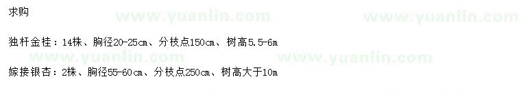 求購胸徑20-25公分金桂、胸徑55-60公分銀杏
