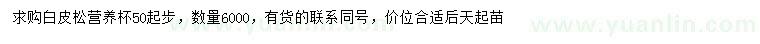 求購(gòu)50公分以上白皮松