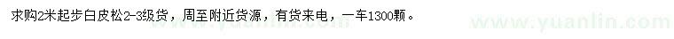 求購2米以上白皮松