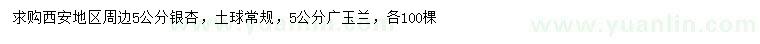 求購5公分銀杏、廣玉蘭