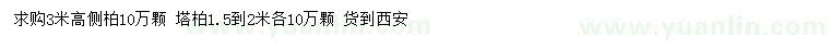 求購高3米側(cè)柏