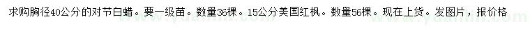 求購胸徑40公分對(duì)節(jié)白蠟、15公分美國紅楓