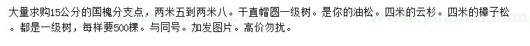求購國槐、油松、云杉等