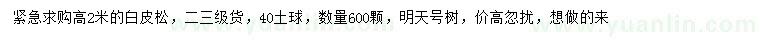 求購高2米白皮松