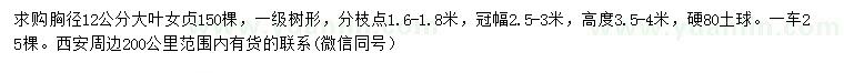 求購(gòu)胸徑12公分大葉女貞