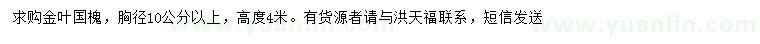 求購胸徑10公分以上金葉國槐