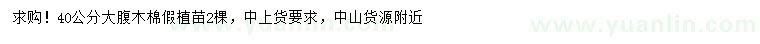 求購(gòu)40公分大腹木棉