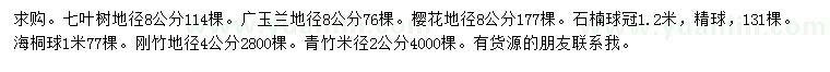 求購七葉樹、廣玉蘭、櫻花等
