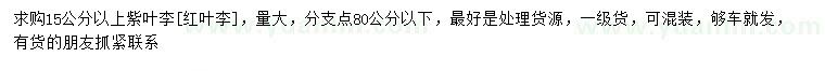 求購(gòu)15公分以上紫葉李