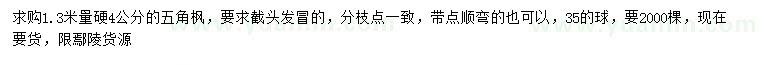 求購1.3米量4公分五角楓