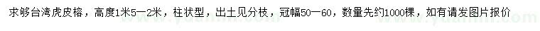 求購(gòu)高1.5-2米臺(tái)灣虎皮榕