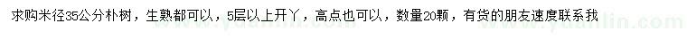 求購米徑35公分樸樹