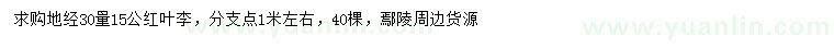 求購30量15公紅葉李