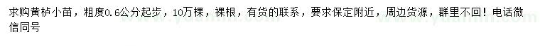求購0.6公分以上黃櫨小苗