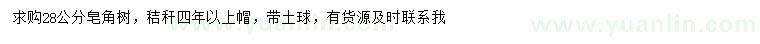 求購(gòu)28公分皂角
