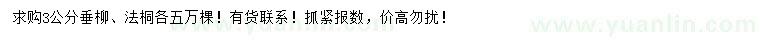求購3公分垂柳、法桐