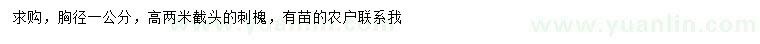 求購胸徑1公分刺槐