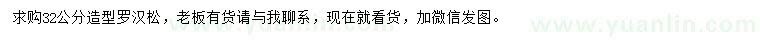 求購(gòu)32公分造型羅漢松