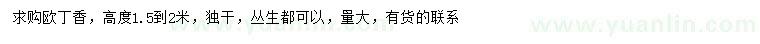 求購高1.5-2米歐丁香