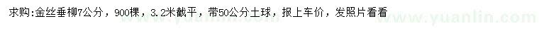 求購7公分金絲垂柳