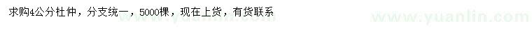 求購4公分杜仲