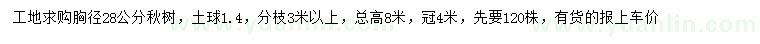 求購胸徑28公分楸樹