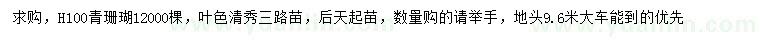 求購高100公分青珊瑚