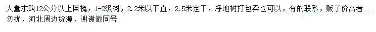 求購12公分以上國槐