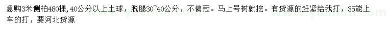 求購3米側(cè)柏