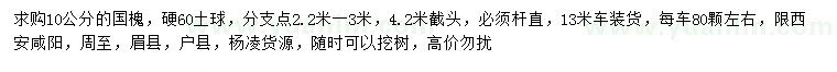 求購(gòu)10公分國(guó)槐