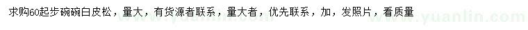 求購(gòu)60公分以上白皮松