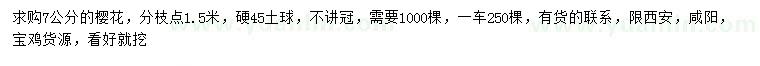 求購7公分櫻花