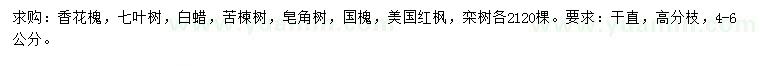 求購(gòu)香花槐、七葉樹(shù)、白蠟等