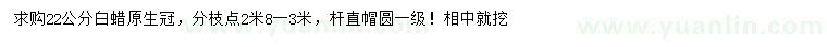 求購(gòu)22公分白蠟