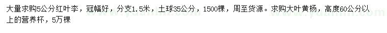 求購5公分紅葉李、高60公分以上大葉黃楊