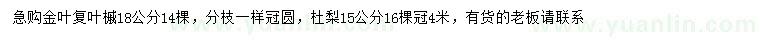 求購(gòu)18公分金葉復(fù)葉槭、15公分杜梨